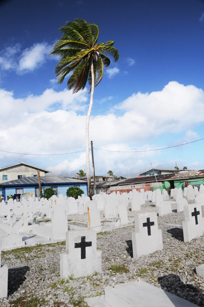 A cemetery in a tropical location.  Dozens of white headstones. Some have black crosses on them.  A palm tree stands in the middle. 