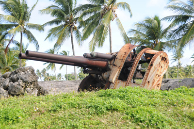 A piece of old military hardware, including two large gun barrels, rusts in a tropical environment.  Palm trees surround.