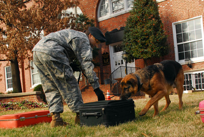 In front of a brick building, a person in a military uniform bends over and touches a black suitcase that sits on the grass. A large dog sniffs at the suitcase. Other suitcases are nearby.