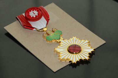 A military medal with gold, red and green colors is displayed on a paper card.
