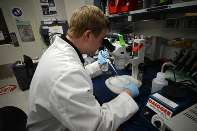 A man in a lab coat is seated and looking through a microscope. His left hand holds a pipette that is pointed at a round plastic tray. Other lab equipment sits on the desk.