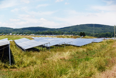 Solar panels are situated in a grassy field.