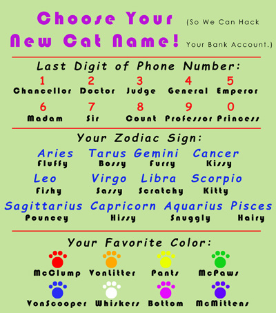 A graphic encourages users to share personal information about themselves in order to create a funny name for a cat. 